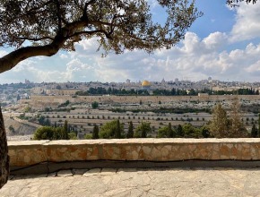Výhled z Olivetské hory